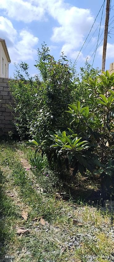 binede ev: - İki mərtəbəli daş tikili ev - Fasadda kəsme daş (kubik) ilə hörgü — 3