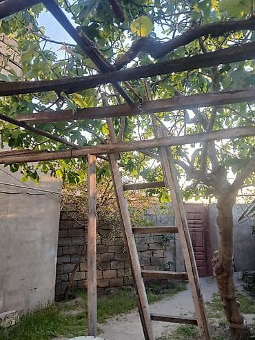 upd ev: Coratda ev satıram 5 otaq yarım sot həyəti — 3