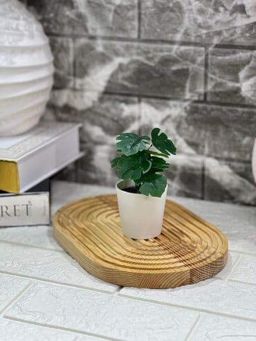 ag guller: Dekor gül — 6