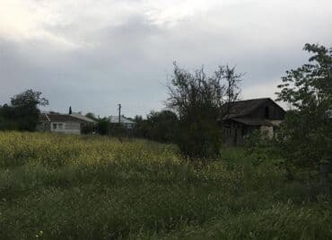 nefçilər kirayə ev: 14 sot, Mülkiyyətçi — 3