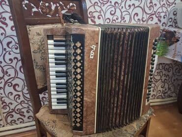 akkardion: Akustik Akkordeon — 2