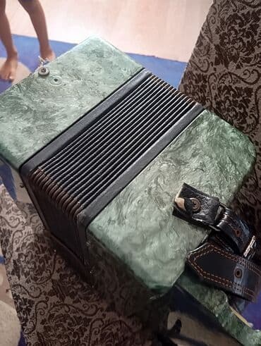 духовой деревянный инструмент: Гармонь, Акустический — 3