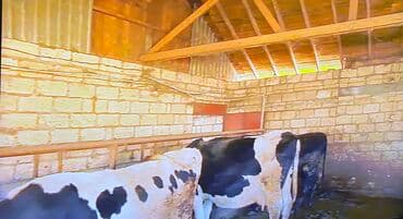 xacmaz rayonu: 12 sot, Kənd təsərrüfatı, Kupça (Çıxarış) — 25