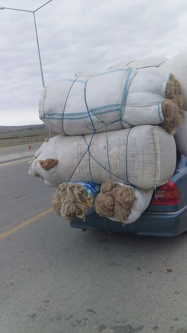 agdag astar qiymeti: QOYUN YUNU SATILIR Şamaxı yunu — 3