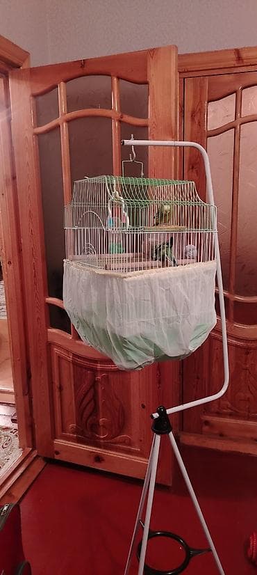 Heyvanlar üçün mallar: Digər quşlar — 3