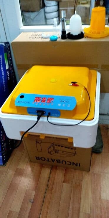 inqibator satiram: Inkubator inkubatorlarin birinci əl satişi mağazamizda olan inkubator — 3