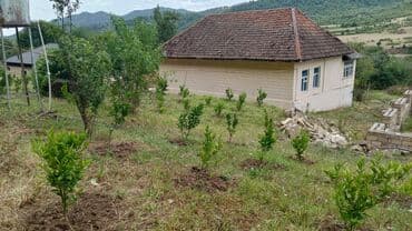 qara qarayev 4 otaqli evler: Bu torpaq sahəsi kənd mühitində yerləşir və yaşayış evi tikmək üçün — 5