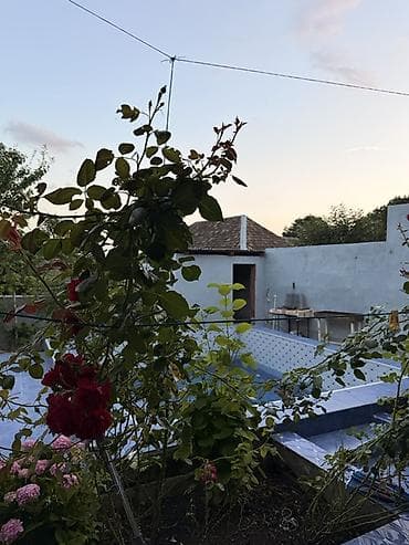 19 litr su: Tualet və duş otağı komplekti - Tətbiq sahəsi: mənzil, ofis — 8