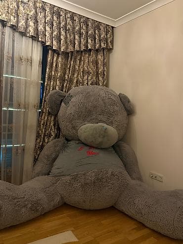 Yumşaq oyuncaqlar: Teddy Yeni kimidir, 20 gün öncə Sədərəkdən alınıb. 4 m hündürlüyü — 2