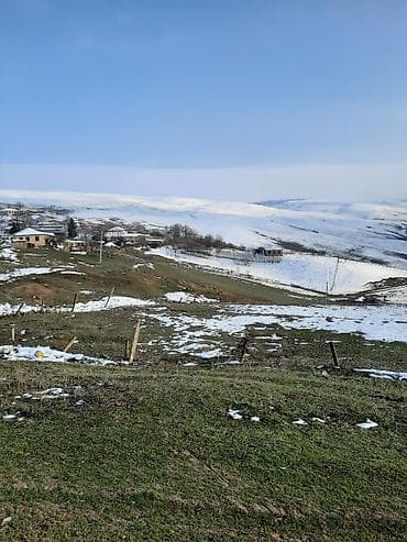 torpax sahesi: Tikinti — 1