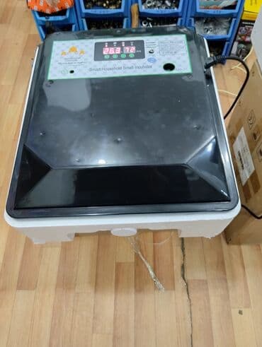 inkubator 56: Inkubator inkubatorlarin birinci əl satişi unversal inkubator — 1