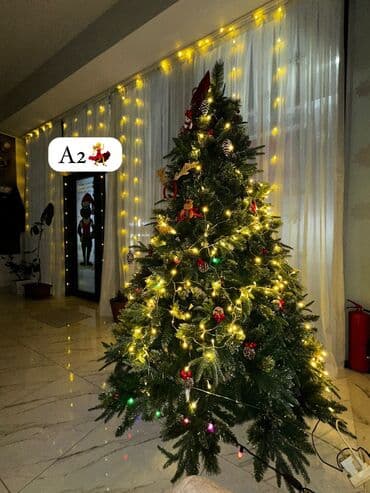 AYNUR 2💃 📏2,10 ölcü 🪄İqruşqaları ilə birlikdə 🪄Təzə Yolka 💶Qiymət lalafo.az -da AYNUR 2💃 📏2,10 ölcü 🪄İqruşqaları ilə birlikdə 🪄Təzə Yolka 💶Qiymət