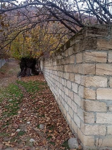 сад: 12 соток, Для строительства, Собственник, Купчая — 5