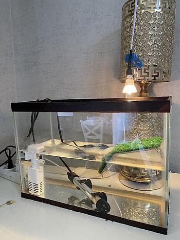 Akvarium heç bir problemi yoxdur, qiymət 30 azn