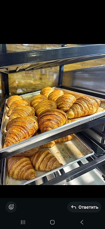 Оборудование для производства: Электрическая печь, Хлеб, Сладости, Пицца, 4 этажная, Б/у — 4