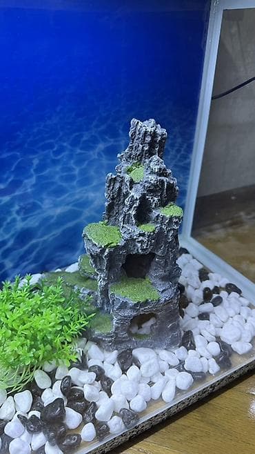 akvarium gəncə: Dördbucaq akvarium, Boş, 42 l, Ödənişli çatdırılma — 5