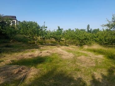 дачные участки купить: 10 соток, Собственник, Купчая — 2