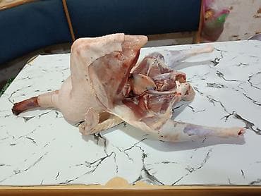 yastiq sekilleri: Məhsul: Kəsilmiş hinduşka (bütöv karkas) Təsvir: - Təbii şəkildə — 3