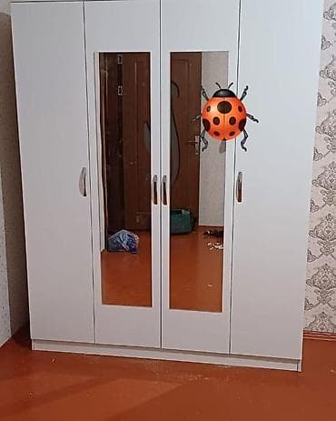 kalidor skaflari: Dolab — 1