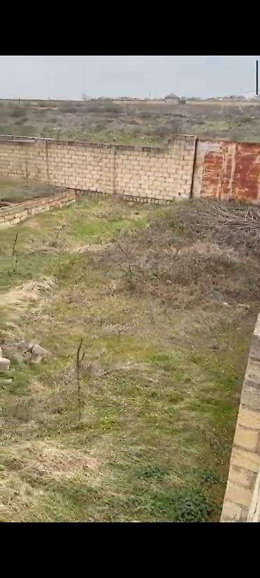 lökbatanda torpaq: 5 sot, Tikinti, Mülkiyyətçi, Kupça (Çıxarış) — 3