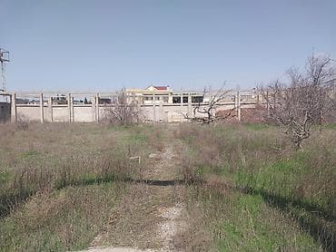 1 hektar nece sot: 15 sot, Tikinti, Makler, Kupça (Çıxarış), Texniki pasport — 3