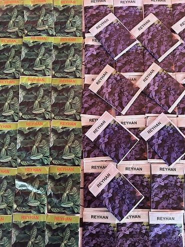 zire bitkisi: Məhsul: Toxum dəsti Təsvir: - Reyhan toxumları – iki növ: - Yaşıl — 1