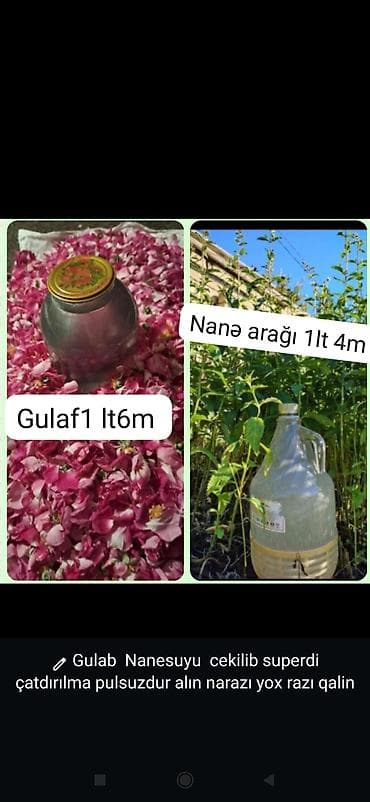 Məhsul: Gülab (gül suyu) və nanə arağı - Gülab – 1 litr: 6 m - Nanə lalafo.az -da Məhsul: Gülab (gül suyu) və nanə arağı - Gülab – 1 litr: 6 m - Nanə