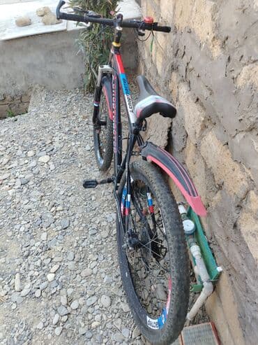 velosipedlər qiz ucun velosipedler: Горный велосипед 29" — 1