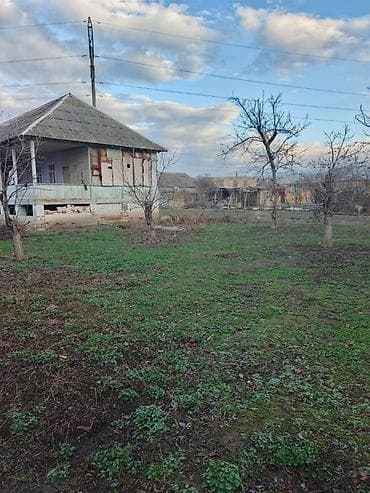 en ucuz evler: Tikinti — 2