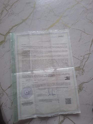 topaq: Tikinti, Bələdiyyə — 2