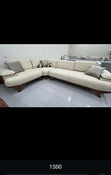 dekorativ otaq bitkiləri: Divan, Divan — 3