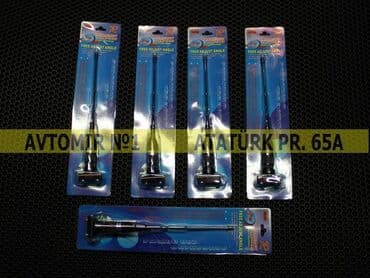 lider disk satilir: Antenna dekorativ 🚙🚒 ünvana və bölgələrə ödənişli çatdırılma — 1