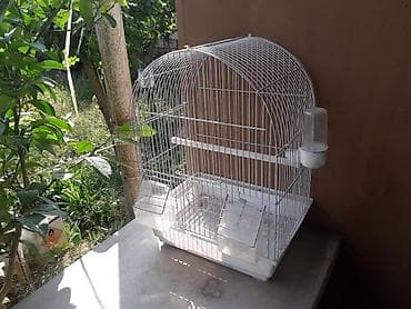 blackbird: Ağac və metal torlardan hazırlanmış quş qəfəsi. Üzəri üçbucaqlı — 3
