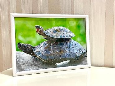 dekor satisi: Meditasiya ucun cerciveler. 60 manata alinib 18 manata satilir — 4