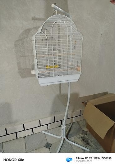 Yeni qəfəs duracagi ilə birlikdə içində iki cürə mel iki taxta duracaq