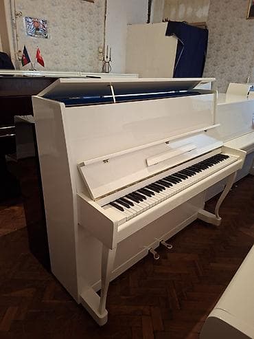 piano belarus: Piano, Akustik, Yeni, Pulsuz çatdırılma — 1