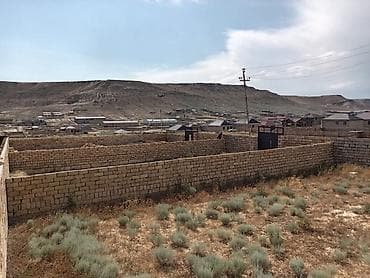 bine sovxoz evler: 2 sot, Kupça (Çıxarış) — 2