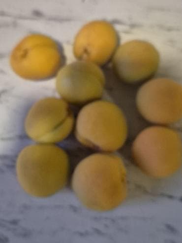 kenquru usaq geyimleri: Ushaq uchun kenquru
Yeni
Chicco firması
50 azn — 2