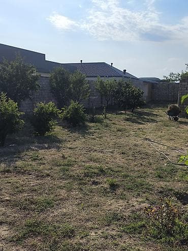 hasar setka: 12 sot torpaq Qala Şüvəlan yolun üzərində Məhsul: Həyət/bağ sahəsi — 2
