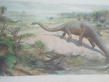 cipsi sekilleri: Məhsul: Dinozavr mövzusunda vintage illüstrasiya çapları dəsti — 9