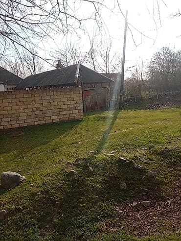 zabratda torpaq satisi: Oğuz, 100 kv. m, 3 otaqlı, Hovuzsuz, İnternet — 2
