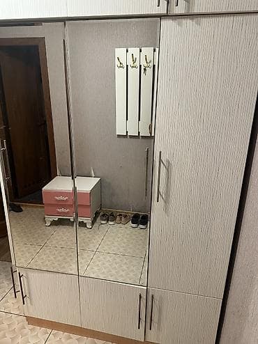 islenmis skaf: Koridor və yataq otağı üçün geyim dolabı - Ölçülər: 55 en, 150 — 4