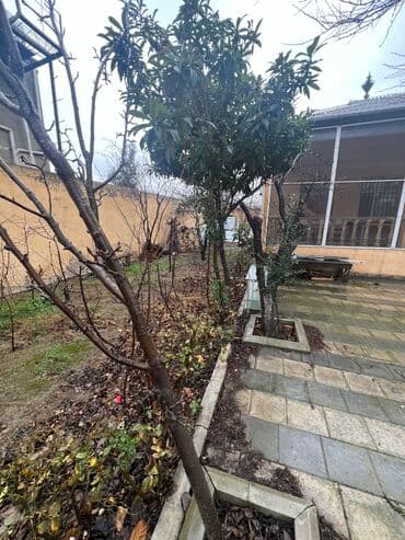 xacmazda satılan evlər: Ceyranbatan, 130 kv. m, 3 otaqlı, Qaz, İnternet, Su — 6