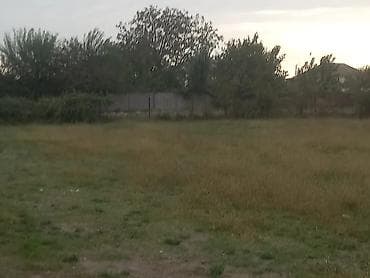 memar ecemi: 24 sot, Tikinti, Maklerlər narahat etməsin, Kupça (Çıxarış) — 1