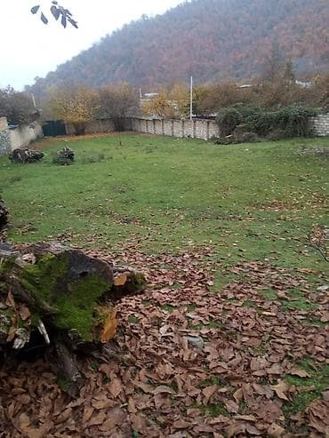 сад: 12 соток, Для строительства, Собственник, Купчая — 4