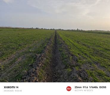 сабирабад: 403 соток, Для сельского хозяйства, Купчая — 2