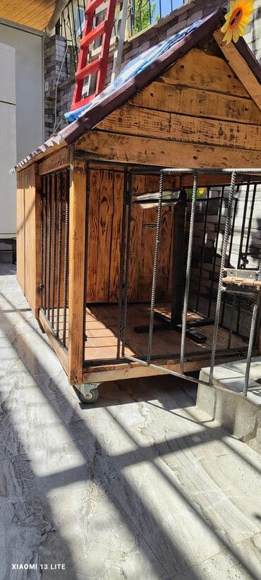 goyərcin yuvaları: Ölçüsü 2x1, it üçün yuva, boş boş adamlar narahat eləməsin zəhmət — 5