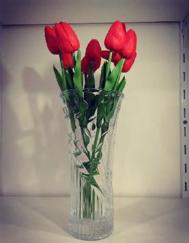 suni güller sederek: Selekon güller — 1