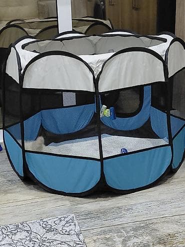 it sortu: Şpitz — 3