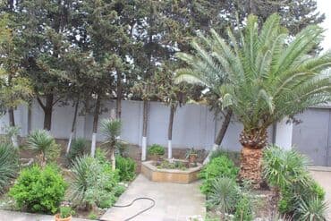 baki hovuzlu evler: Bilgəh qəs. 10 otaq, 800 kv. m, Kredit yoxdur, Orta təmir — 20